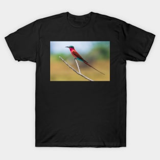 Southern Carmine Bee-eater (Merops nubicoides) T-Shirt